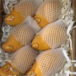 鲜果铺加盟费用和加盟前景分析