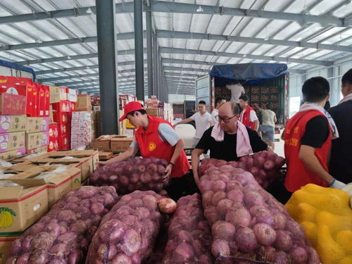 鲁豫同心，蔬果传情 聊城25吨新鲜蔬果驰援河南