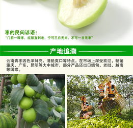 云南元谋 甜蜜滋味，新鲜直达——蜜枣与大青枣的味蕾盛宴