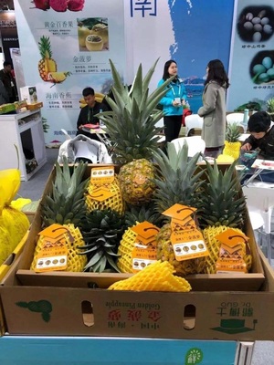 来自最新鲜的跳动——2019新零售生鲜食材展引领新鲜水果零售新风潮